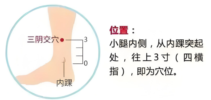 （挂网稿）真相之“软化血管1202.png