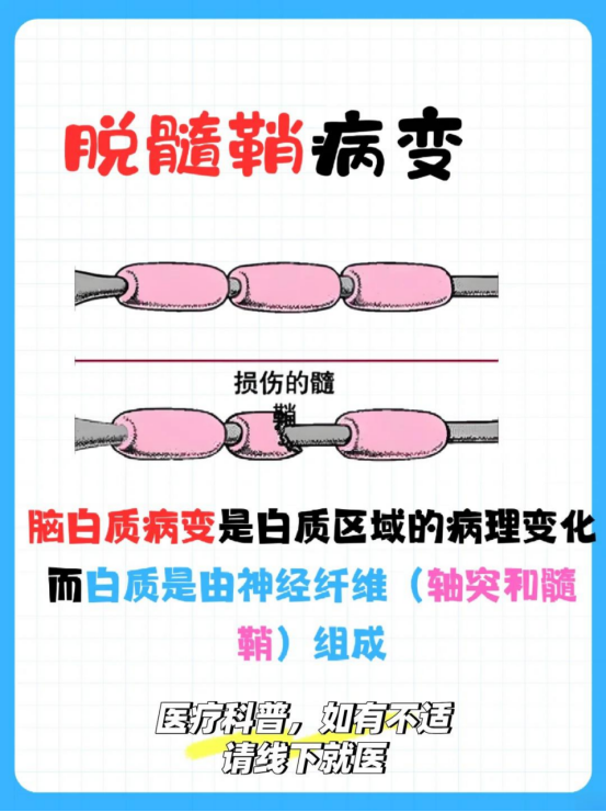 947bfa06589b56f0756c9036ee9338f.png
