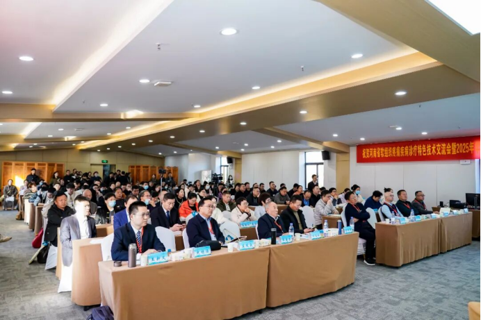 【媒体看我院】 河南省软组织疼痛疾病诊疗特色技术交流会暨2025年学术年会在郑州召开317.png 【媒体看我院】 河南省软组织疼痛疾病诊疗特色技术交流会暨2025年学术年会在郑州召开317.png